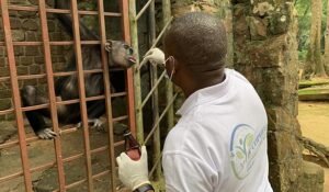 COPHEGS-DRC Renforce le Bien-être des Animaux et les Capacités du Personnel du Zoo de Kisangani - cophegs.org